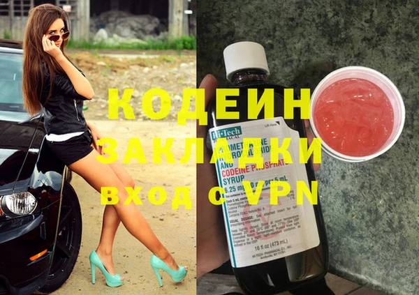хмурый Белокуриха