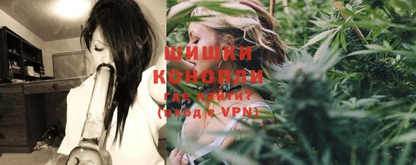 хмурый Белокуриха