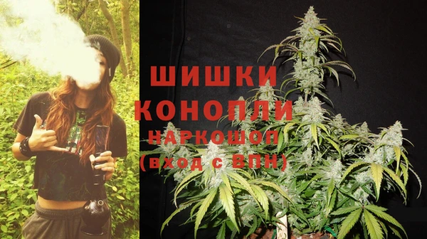 хмурый Белокуриха