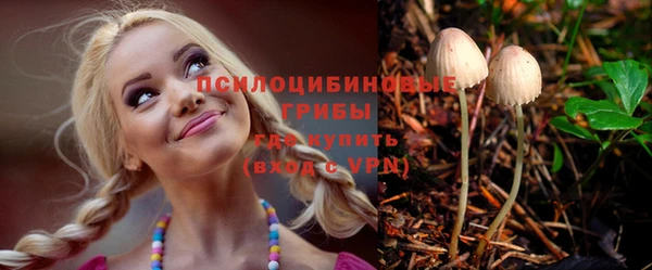 хмурый Белокуриха